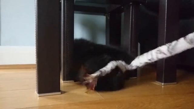 Gorgeous lil Daisy having a play xxx смотреть онлайн