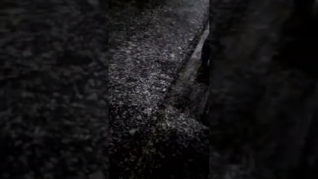 ❄ смотреть онлайн
