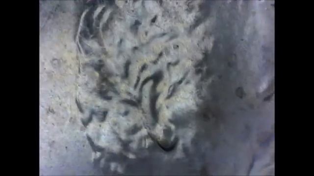 2020 D Lincoln Cent Feeder Finger Errors & More смотреть онлайн