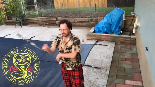 KOBRA KAI 2018 HOWARD PLUM FOR SEASON 2 ( PLEASE ) смотреть онлайн