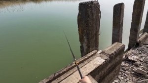 Рыбалка на Маныче