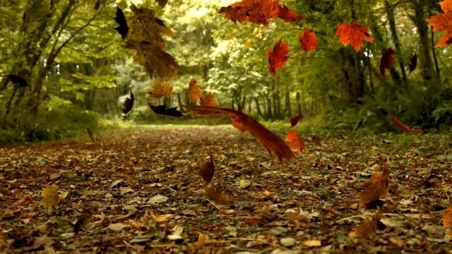 Falling Leaves