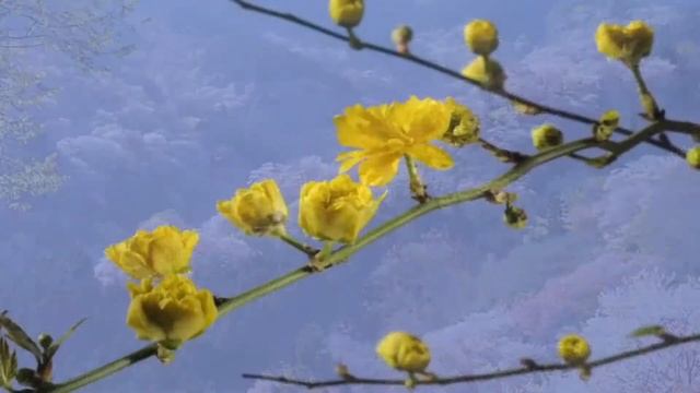 Yanni - Until the Last Moment смотреть онлайн