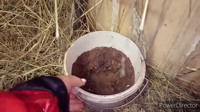 НОВЫЙ ПОМОЩНИК/ДОИТ КАК ХОЧЕТ))) смотреть онлайн