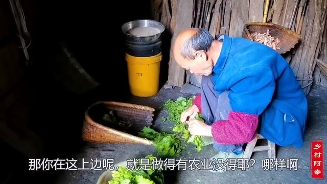 探访贵州深山的独户人家，69岁老人一人独居深山，一户拥有1000亩山林土地！【乡村阿泰】 смотреть онлайн