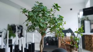 Квартира архитектора с открытой планировкой | авторская мебель | дизайн интерьера | румтур