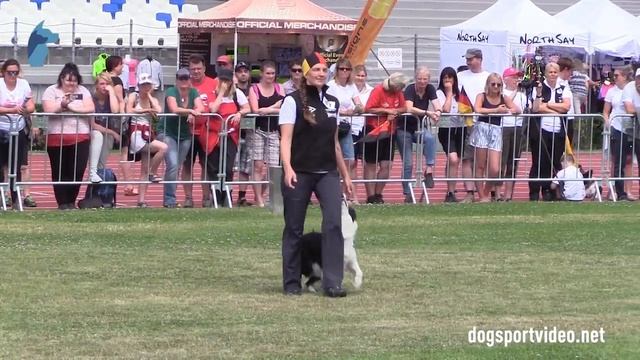 Qualification - Eva Hampe + Dumf and Galwy Jubilee / Border Collie - Germany смотреть онлайн