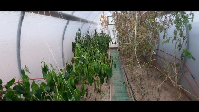 Универсальная котельная Галактика смотреть онлайн