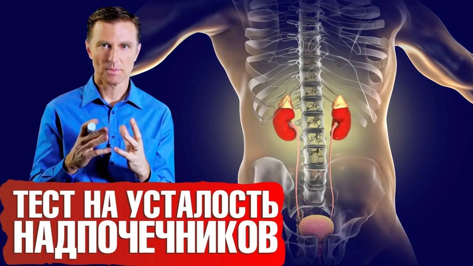 Усталость надпочечников. ✅ Тест. Как бороться со стрессом и восстановить надпочечники смотреть онлайн