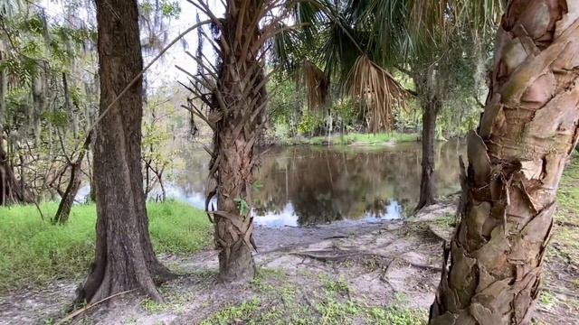 Thousand Trails Peace River Campground Review | PADDLE BOARDING WITH GATORS смотреть онлайн