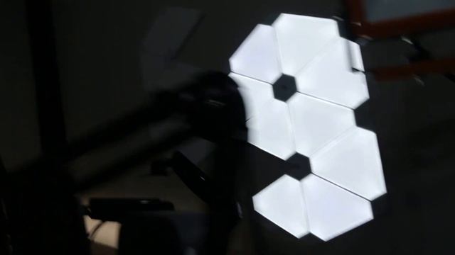 The streaming setup of Quin69 (2019) смотреть онлайн
