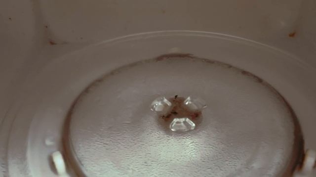 Микроволновка + ПЕТАРДА = БУМ смотреть онлайн