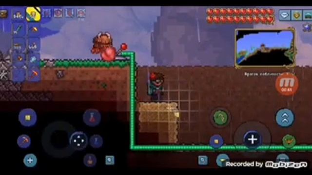 Terraria.закопал зомби в песок смотреть онлайн