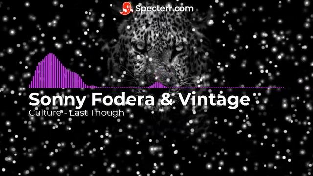 Sonny Fodera & Vintage Culture Last Thought feat смотреть онлайн