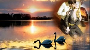 Белый день _ Лена Василёк → Верила, верила, верю. ..