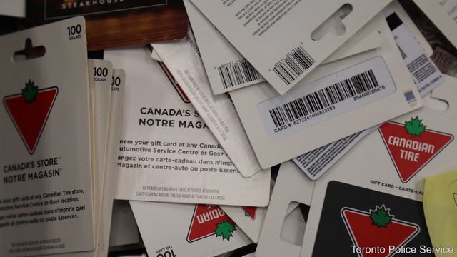 @TorontoPolice Project HYDRA | Insp. Peter Callaghan | TPS Financial Crimes Unit смотреть онлайн