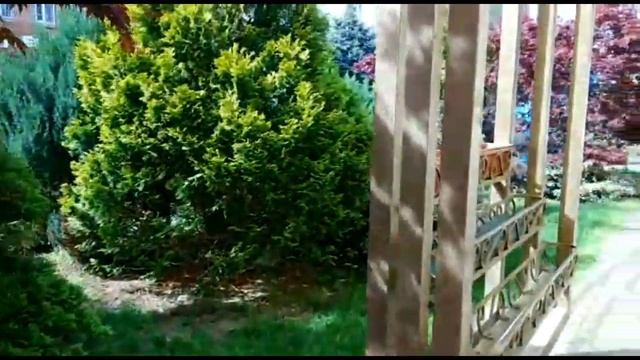 Знакомство с Майкопом часть1 смотреть онлайн