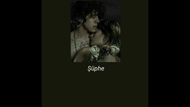 LP- Suspicion Türkçe Çeviri