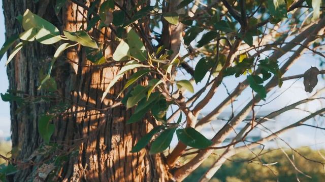 Spring: No Winter Lasts Forever смотреть онлайн