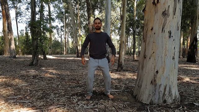 Standing Tree Qigong Week 3/15 Three Treasures смотреть онлайн