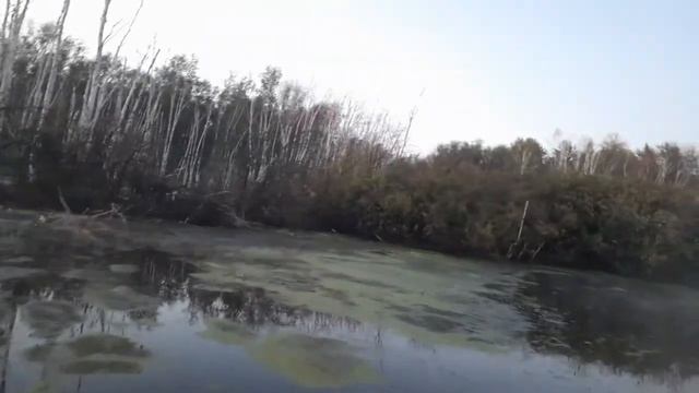 ОХОТА 2020...УТРО....НАБИЛИ ЧИРОЧКОВ НА ШУЛЮМ смотреть онлайн