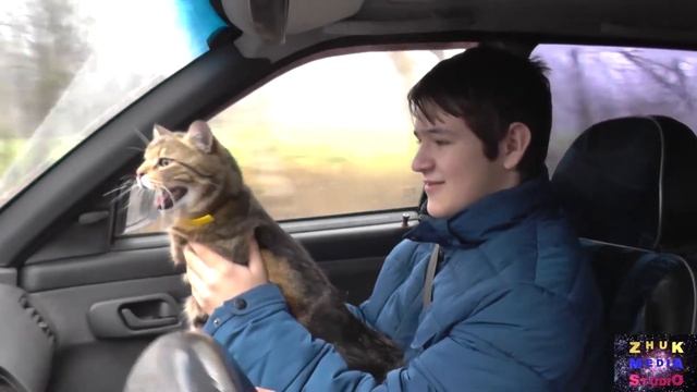 Барсик едет смотреть онлайн