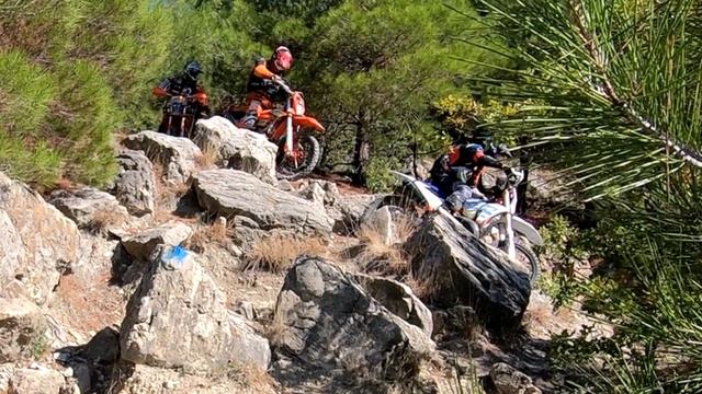 Одна из самых главных красок в жизни - это эмоции 💪🫶