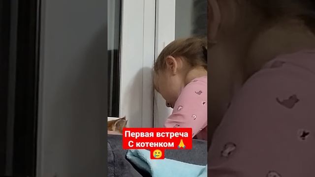 когда сбылась мечта смотреть онлайн