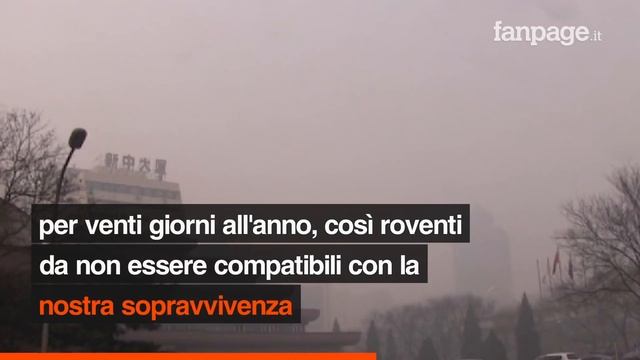 Cambiamenti climatici, il genere umano potrebbe scomparire entro il 2050: l'allarme degli scienziat смотреть онлайн