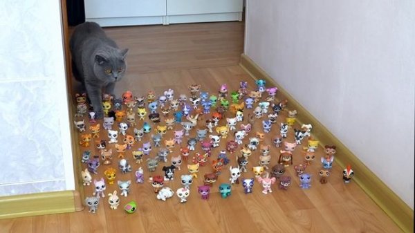 LPS против КОТА  ВЫЗОВ ПРИНЯТ / LPS and CAT