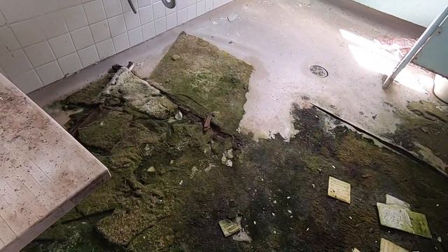 Exploring the ABANDONED and Muskoka Regional Centre | Abandoned Muskoka Sanitarium смотреть онлайн