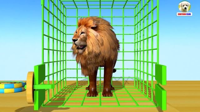 Learn Colors With #wrong Key Animals And Cage Cartoon For Children