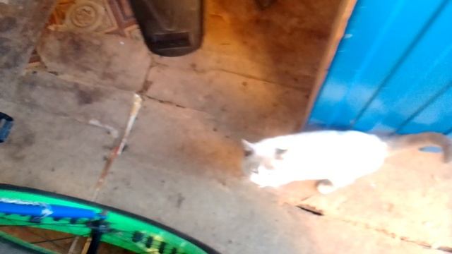 выключатели габарит ближний и дальний 2. лада гранта. 1 часть. смотреть онлайн