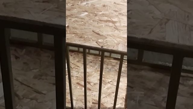 КЛЕТКА ДЛЯ ЖИВОТНЫХ В КВАРТИРУ смотреть онлайн