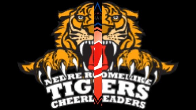 NM 2016 Cheerleading - Team смотреть онлайн