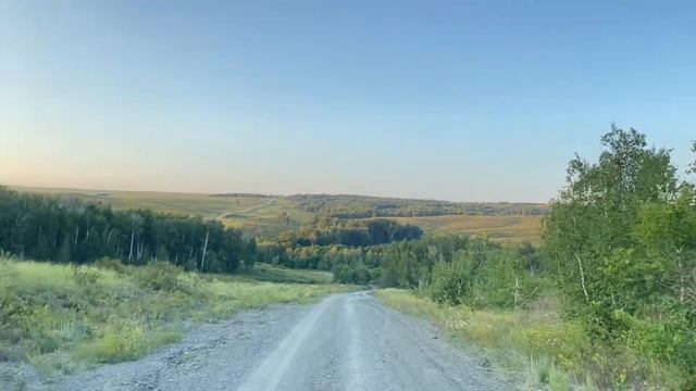 Прогулка по лесу на . #кувандыкскийрайон #ялнаир #наилягабдуллина #тыуганяктарыма смотреть онлайн
