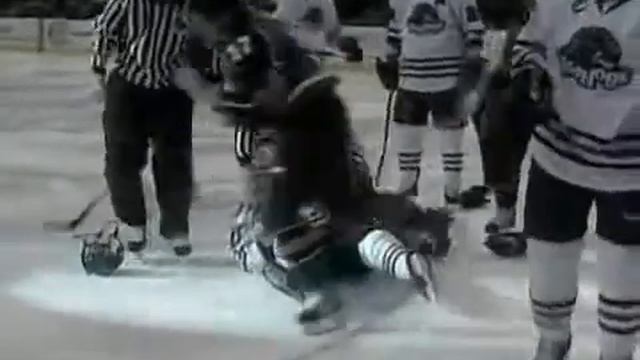 Hockeyfighters.cz Aaron Volpatti vs Wade Brookbank.wmv смотреть онлайн