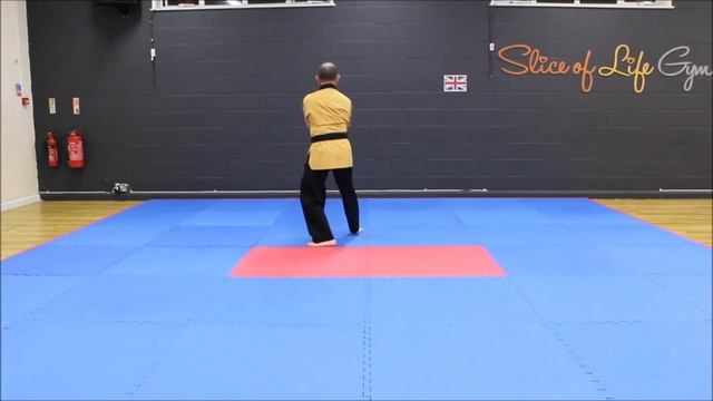 1 WT Sipjin poomsae, M U65, Colin Larkin, 0009 смотреть онлайн