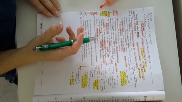 Y12 LangLit: Before You Were Mine Annotations 2 смотреть онлайн