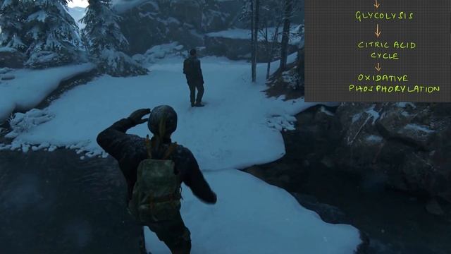 Gamification medical basics - Part 1 The Last of Us 2 PS5 medical gameplay #Dr.Storywalker смотреть онлайн