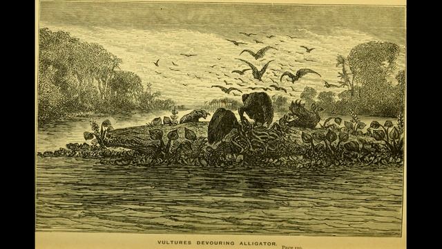 Barclay James Harvest - Victims Of Circumstance (1984)