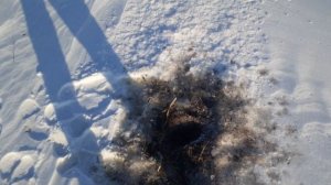 ЗИМНЯЯ РЫБАЛКА НА ТЯГУ...КАК ЛОВИТЬ И ГДЕ!!!