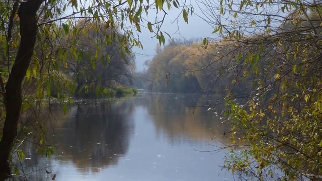 Музыка Осени смотреть онлайн