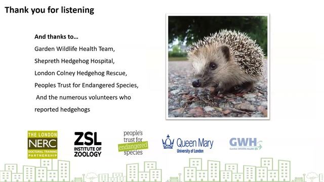 Hedgehogs in London - Latest Updates and DNA Project смотреть онлайн