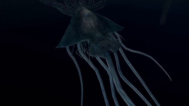 Dark Souls - The Hydra is very, very long смотреть онлайн