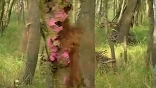 Prototype Racegun Halfblock chopping down some trees смотреть онлайн