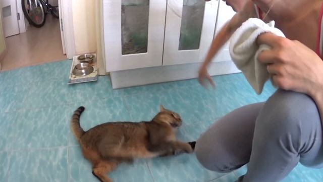 Влог 09.09.16 Что мы делали втроем? смотреть онлайн