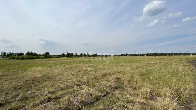 9318107 смотреть онлайн