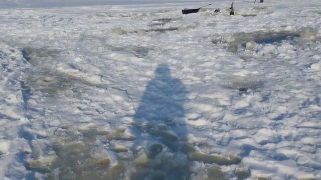 РЫБАЛКА НА ТЯГУ ИЛИ НА ЛОПАТУ...ЯНВАРЬ 2023 смотреть онлайн