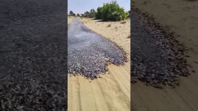 #приколы #видео #moscow #улыбка смотреть онлайн